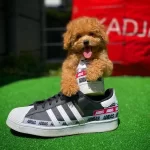 Red Brown Oglumuz Alex