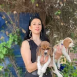 Beagle Yavrularımız Sağlık Ve Irk Garantilidir