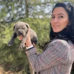 Cane Corso Blue Ve Siyah Yavrularım