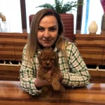 Mukemmel Irkının En Guzel Toy Poodle Yavrularımız