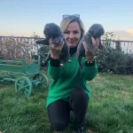 Muhteşem Blue Ve Siyah Cane Corso Yavrularımız