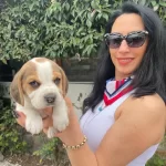 Beagle Yavrularım Sağlık Ve Irk Garantilidir