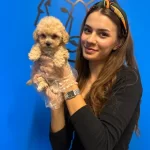 Cok Sirin Czel Toy Poodle Yavrularımız