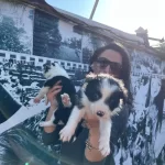 Border Colie Yavrularım Saglık Ve Irk Garantilidir