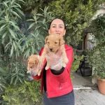 Yavrularım Sağlık Ve Irk Garantilidir