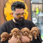 Ankaranın Tek Gercek Toy Yavruları