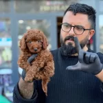 Cagrı Cemcemin Sectigi Yavrular