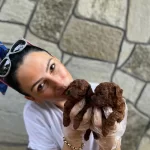 Poddle Yavrularım Saglık Ve Irk Garantilidir