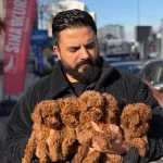 Ankarada Tek Pet Danısmanlıgından Toy Bebekler