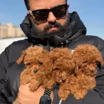 Ankaranın En Guzelleri