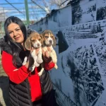 Elizabeth Beagle Yavrularım