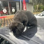 2 Aylık Minik Kızımız