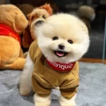 Boyle Bir Guzellik Yok