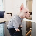 Muhtesem Anatomi Ozel Renk Bebekler