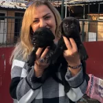 Irk Garantili Mukemmel Cane Corso Yavrularımız