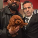 Sosyal Ortamların Yıldızı Toy Poodle Yavrusu