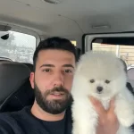 Pomeranian Boo Bebekler