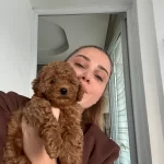 Ev Dogumlu Erkek Yavrumuz