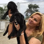 Koca Kafa Muhteşem Cane Corso Yavrularımız