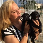 Alan Koruması Yuksek Muhteşem Cane Corso Yavrularımız