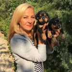 Koca Kafa Muhteşem Rottweiler Yavrularımız
