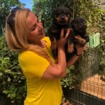 Macar Koca Kafa Muhteşem Rottweiler Yavrularımız