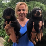 Muhteşem Koca Kafa Rottweiler Yavrularımız