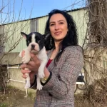 French Buldog Yavrularım Sağlık Ve Irk Garantilidir