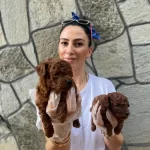 Poddle Ped Eğitimli Bebeklerin Mevcut