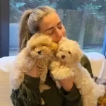 Tuy Dokmeyen Yapısıyla Turkiyenin En Ozel Maltipoo