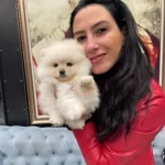 Pomerian Boo Yavrularım Yurt Dısı Girisli Ve Ped Egitimlidir