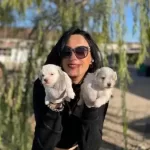 Karbeyaz Maltese Bebeklerim Sağlık Ve Irk Garantilidir