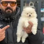 Ankara Nın En Guzeli Bal Surat