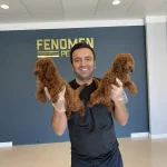0 Numara Maltipo Yavrular Toy Poodle Yavrular Ankara