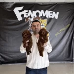 Bayram Şekerleri Geldi Toy Poodle Yavrular Hazır Ankara