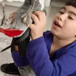 Oğlum Tarafından El Besleme Olarak Büyütülmüş Jako