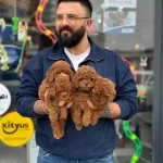 Çağrı Çemçemin Sizin İçin Seçtiği Yavrular