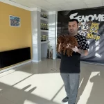 Shoooowwww Kalite Toy Poodle Yavrular Ankara Mağazamızda