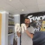 Yeni Shooowww Kalite Maltese Yavrulr Ankara Mağazamzda