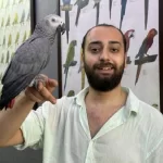 Evcil 11 Aylık Macaw Papağanımız