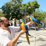 Eğitimli Konuşan Macaw Papağanimiz