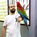 Üst Düzey Evcil Kırmızı Ara Macaw Papağanımız