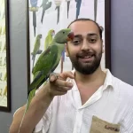 Yavru Evci̇l Bebek Alexander İskender Papağanı