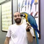 Full Evcil Eğitimli Konuşan Macaw Papağanı