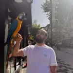 Sari Lacivert Konuşan Macaw Papağanı