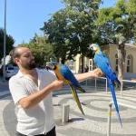 50 Kelime Konuşan Macaw Papağanı