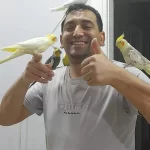 Yerli Üretim Sultan Papağanlarimiz