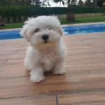 2 Aylık Kizimi Sahi̇plendi̇ri̇yoruz