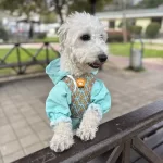 Ömürlük Yuva Aramaktayız