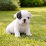 Erkekler Pistteeeeeeee